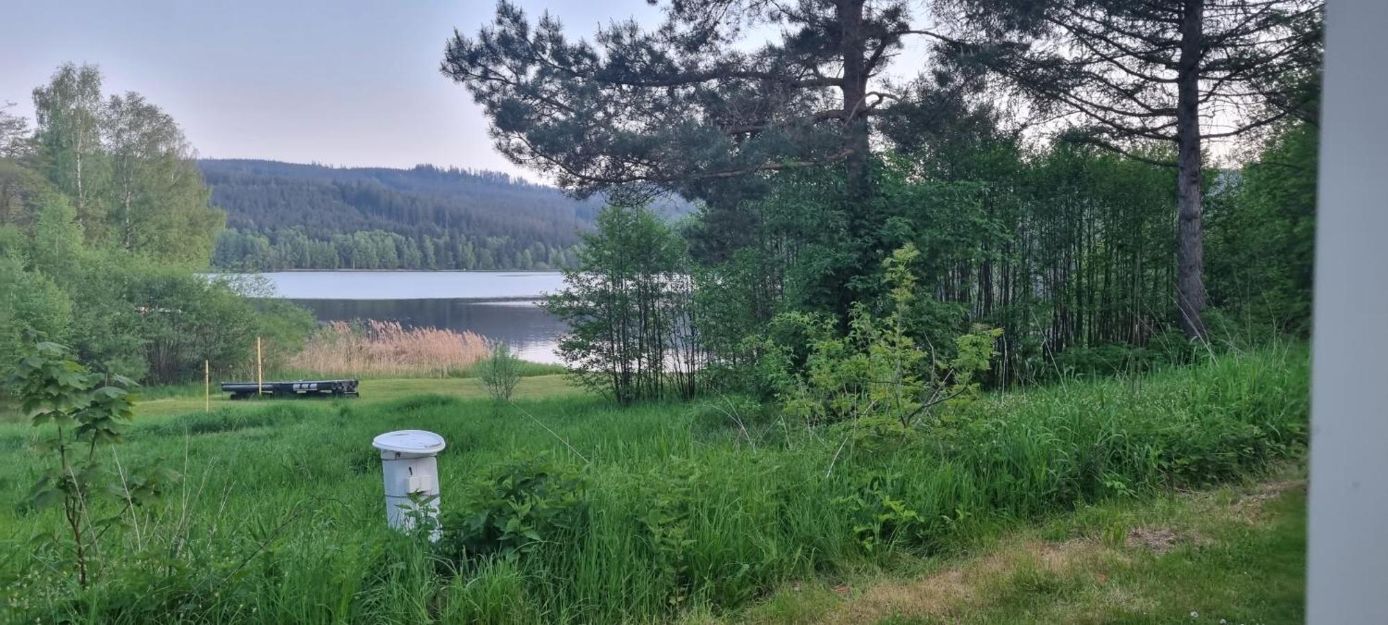 Hotel Penzion Tomy Na Pláži Frymburk nad Vltavou Exterior foto